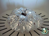 ������ ���� �����������