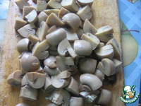 ������� "��������-2 " �����������