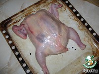 ������� "�������" �����������