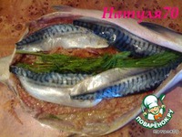 �������� ������� �����������