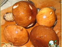 ������ ������������� � ��� �� ��� �����������