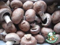 ������������� ������� ���� �����������