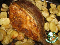 �����e���� ��� "�������" �����������