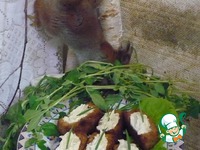 ������ "��������" � ������� ��������� �����������