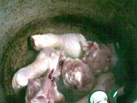 ���� �� ������� �����������