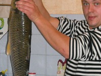 ������� ���� �����������