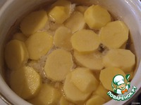 ������� ��������� �� ������ �����������