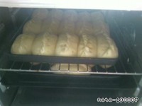 ������� ���� ���� �����������