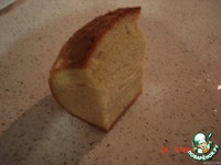 ������� "�����" �����������