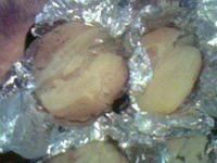 ��������� � ������� �����������