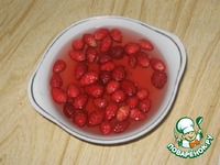 ����-������ � ��������� � ���������� �����������