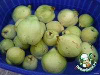 �������� �� ���� �����������