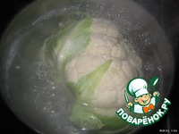 ������� ������� "���������" �����������