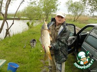 ������� �������� �����������