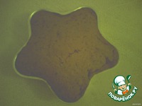 ���� "��������������" �����������