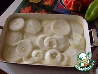 ���� � ������� �����������