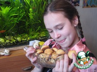 ������� ����������-���������� �����������