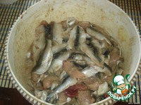 ������� �� ������ �����������