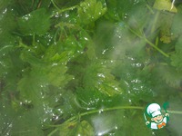 �������� ��� �����������