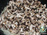 ����� "����������" �����������