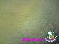 ��� ���� �����������