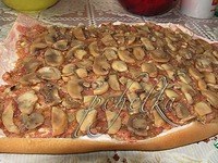 ����� � ��������� �����, ������� � ����� �����������