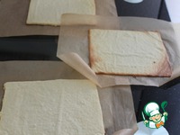 ���� ���������-�������� �����������