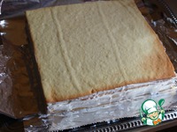 ���� ���������-�������� �����������