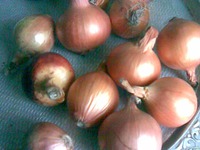 ��� � �������� �����������