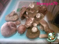 ������� �������� �����������