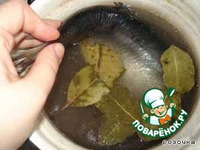 ������ ����������� �������� �����������