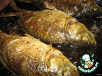 ���� ���������� �����������