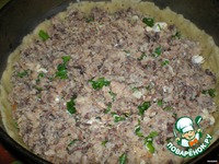 ����� ���������� ��������� �����������