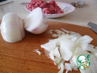 ��� � ���������� ������������� �����������