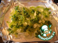 ������ � ������� �����������