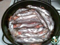 ����� � ������� �����������