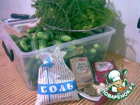 ����������� ������ �����������