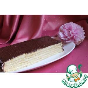 ���� ���������-��������