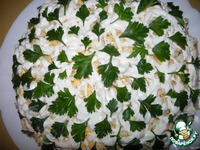 ����� ����� �� ������� �����������