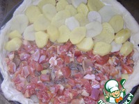 ������ �����������