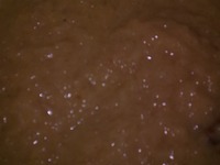 ���� "��������" �����������