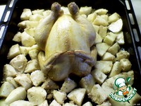 ������������ ������ �����������