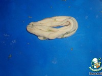 �������-�������� �����������