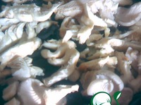 ������ � ������� �����������