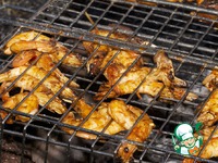 ��������-�����, ������������ � ������ ����� �����������