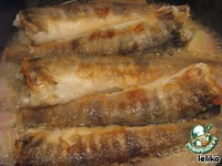 ������� ���� �����������