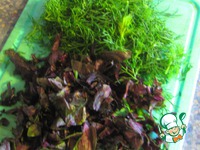 ��������� � ������� �������� �����������