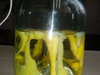 ������� �����������