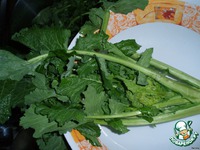 ����� � ������ ���� �����������