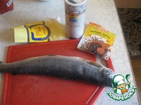 ���� "�������� ��������" �����������